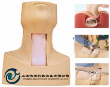 高級環(huán)甲膜穿刺及氣管切開插管模型