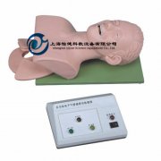 電子人體氣管插管訓(xùn)練模型