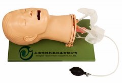 高級(jí)多功能氣道管理模型